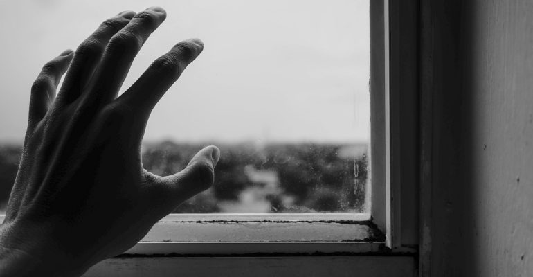 pexels-renato-448562-1264438