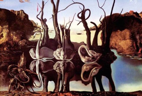 71fsIHQnMDL._UF1000,1000_QL80_